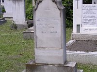 03-16 Lenhossék József